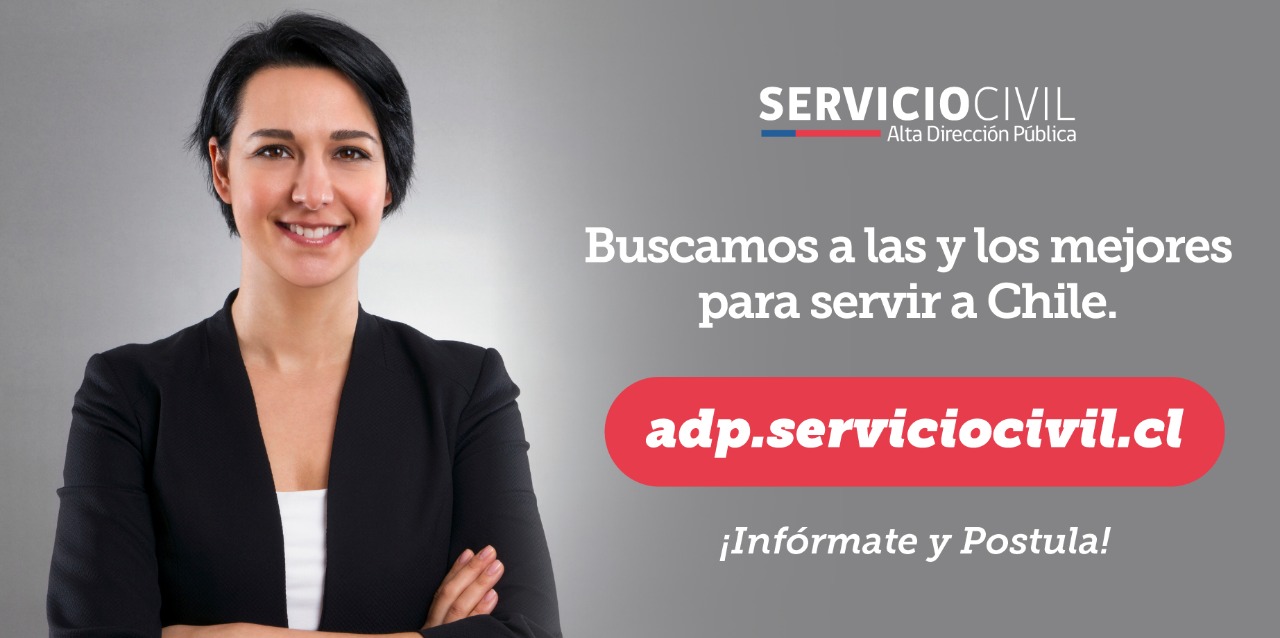 adp.serviciocivil.cl